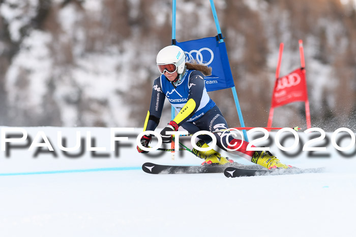 FIS + NJC Riesenslalom Damen + Herren 01.02.2020