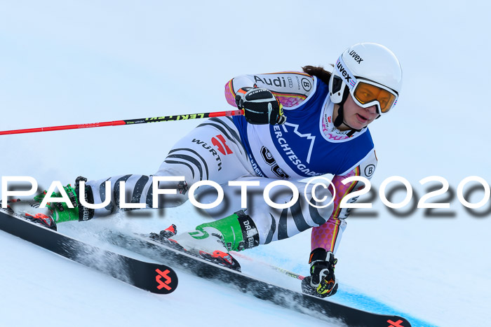 FIS + NJC Riesenslalom Damen + Herren 01.02.2020