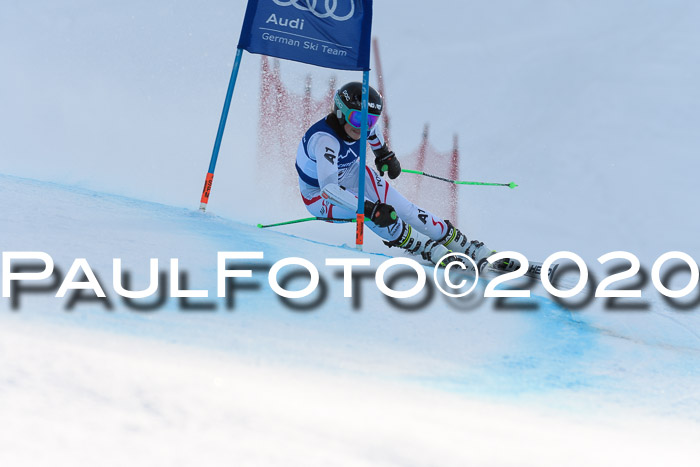 FIS + NJC Riesenslalom Damen + Herren 01.02.2020