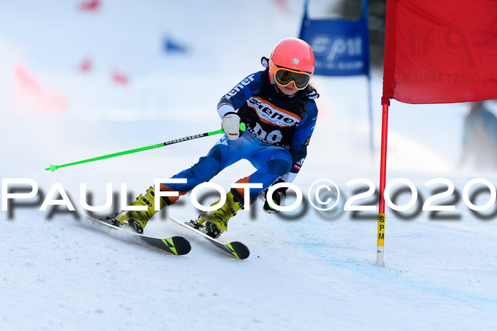 Ziener Kids Cross U12 + Reischmann Cup ASV/WF