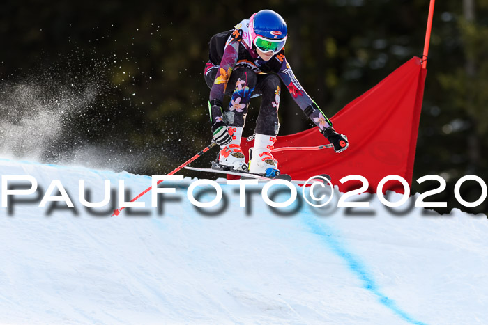 Ziener Kids Cross U12 + Reischmann Cup ASV/WF