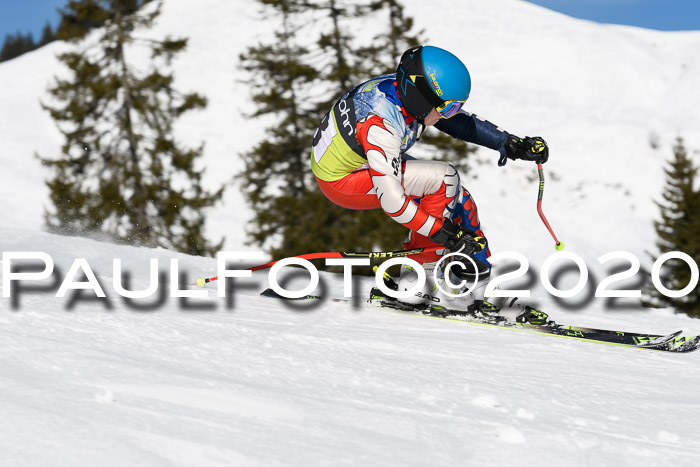 SBW - VR Talentiade Kids Cross Cup 3 - Region 2 08.02.2020