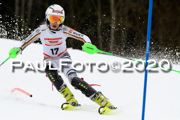 DSV Schülercup U14 IX SL 16.02.2020