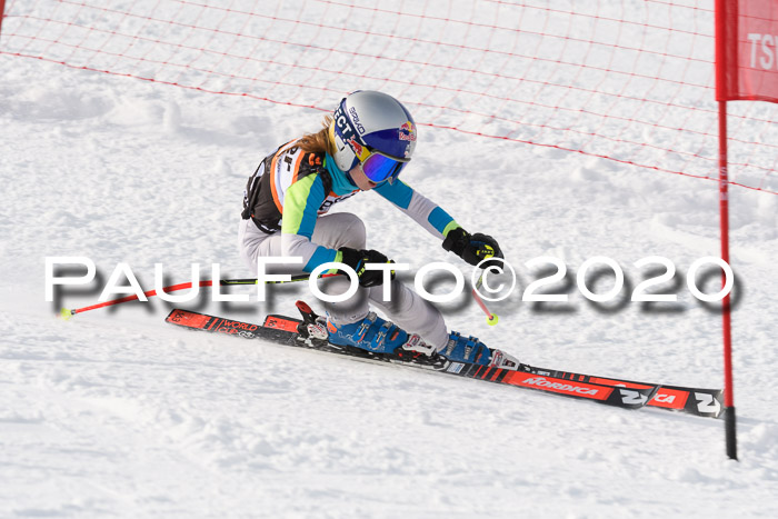 4. Ziener Cup 2020