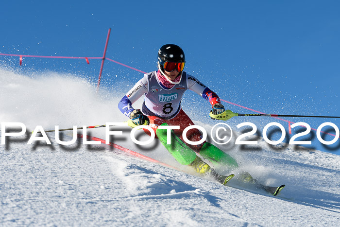 NJC Damen Slalom, 22.02.2020