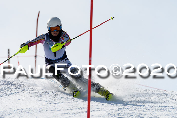 NJC Damen Slalom, 22.02.2020