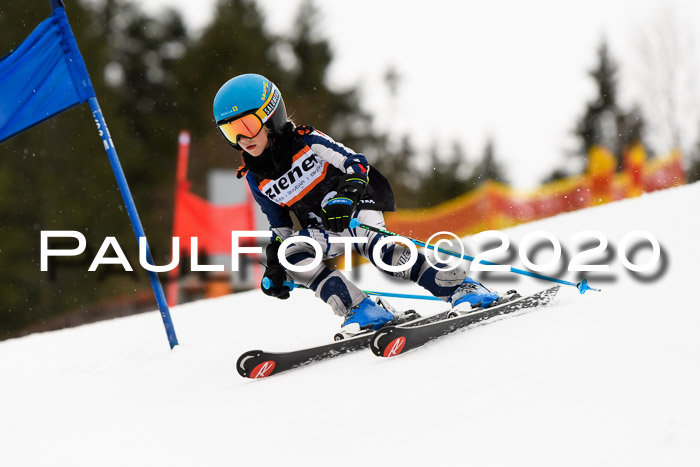 7.  Zienercup + Werdenfelser Meisterschaft 23.02.2020