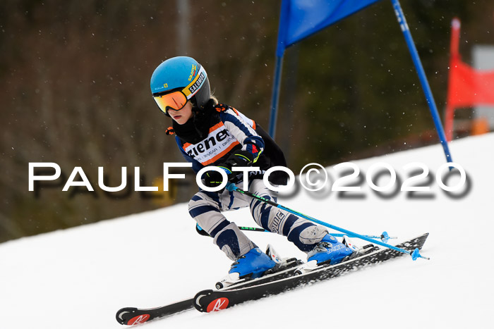 7.  Zienercup + Werdenfelser Meisterschaft 23.02.2020