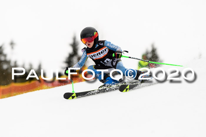 7.  Zienercup + Werdenfelser Meisterschaft 23.02.2020