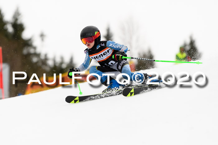 7.  Zienercup + Werdenfelser Meisterschaft 23.02.2020