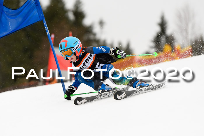 7.  Zienercup + Werdenfelser Meisterschaft 23.02.2020