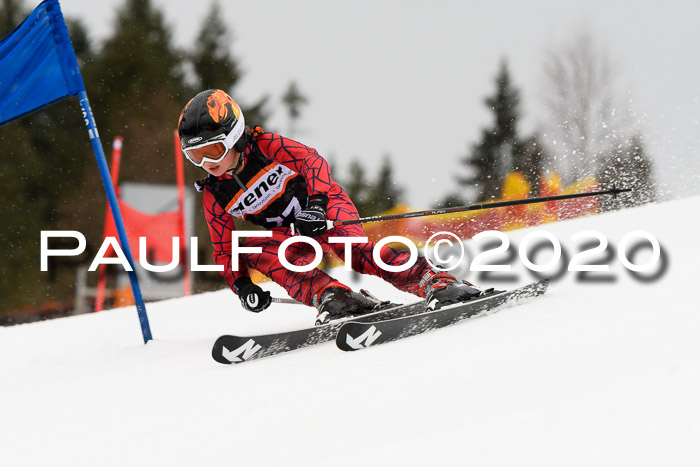 7.  Zienercup + Werdenfelser Meisterschaft 23.02.2020