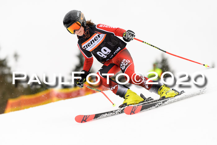7.  Zienercup + Werdenfelser Meisterschaft 23.02.2020