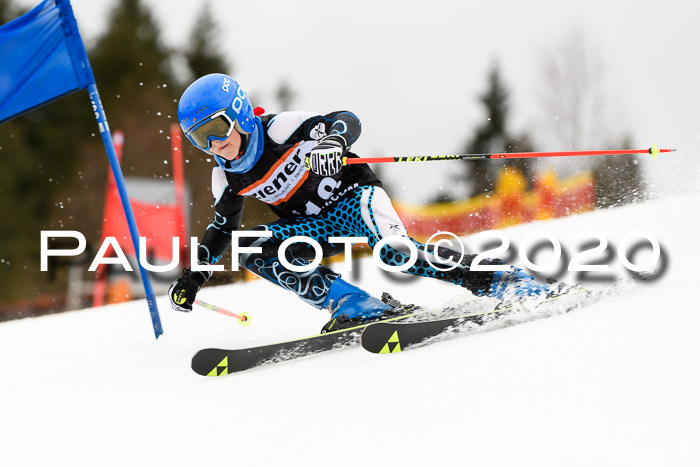 7.  Zienercup + Werdenfelser Meisterschaft 23.02.2020