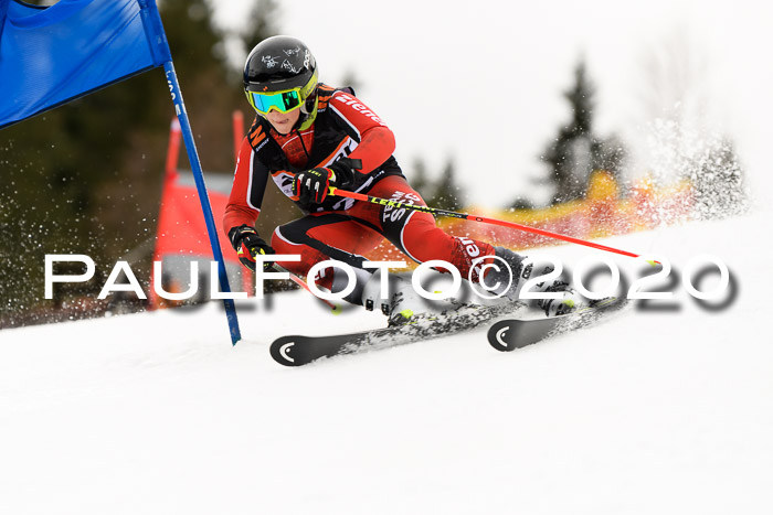 7.  Zienercup + Werdenfelser Meisterschaft 23.02.2020