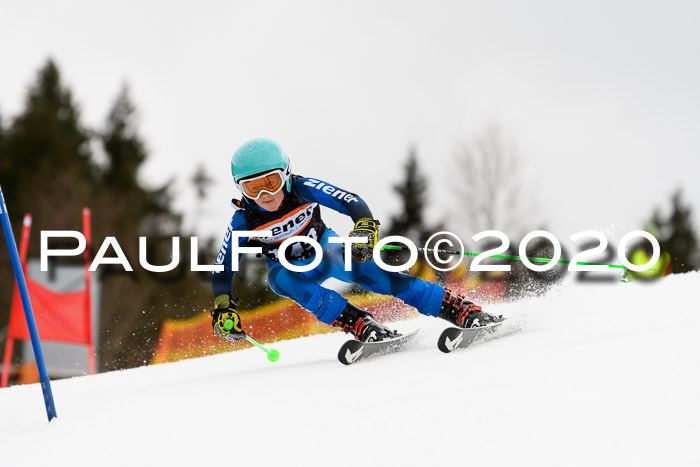 7.  Zienercup + Werdenfelser Meisterschaft 23.02.2020