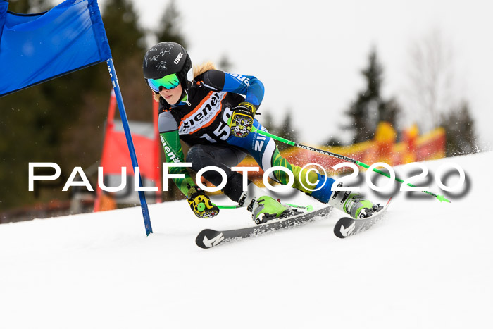 7.  Zienercup + Werdenfelser Meisterschaft 23.02.2020