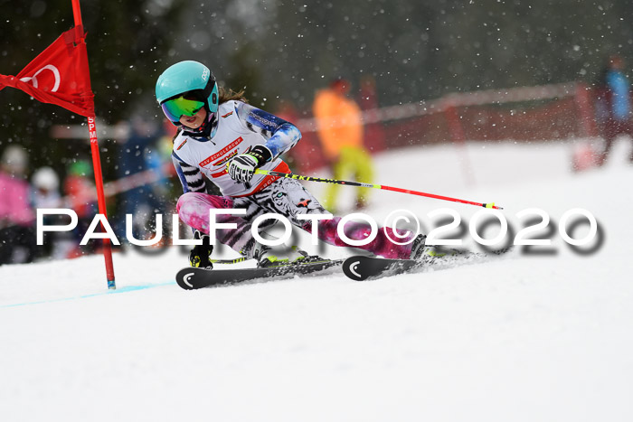 DSV - Deutscher Schülercup U12 Finale RaceCross