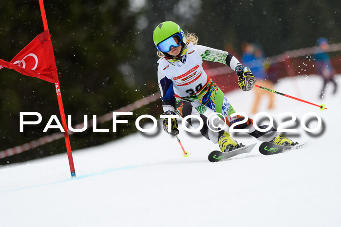 DSV - Deutscher Schülercup U12 Finale RaceCross