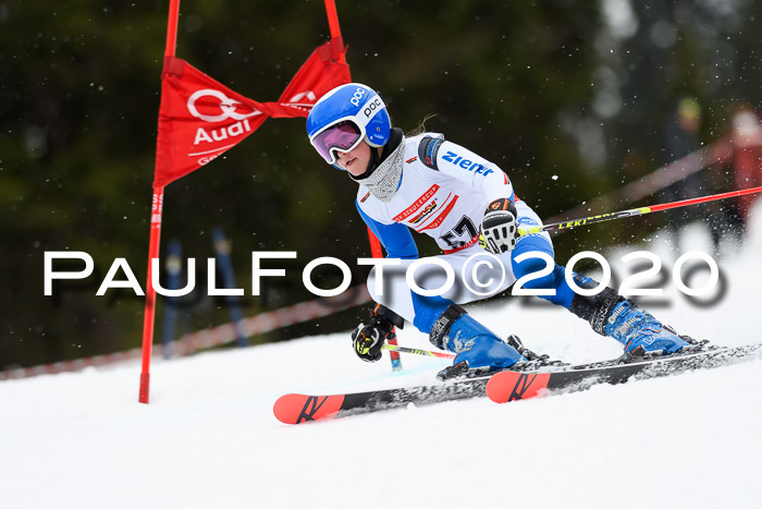 DSV - Deutscher Schülercup U12 Finale RaceCross