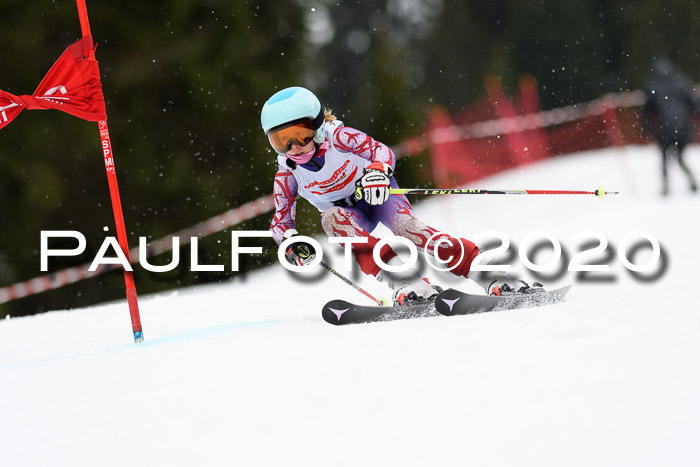 DSV - Deutscher Schülercup U12 Finale RaceCross