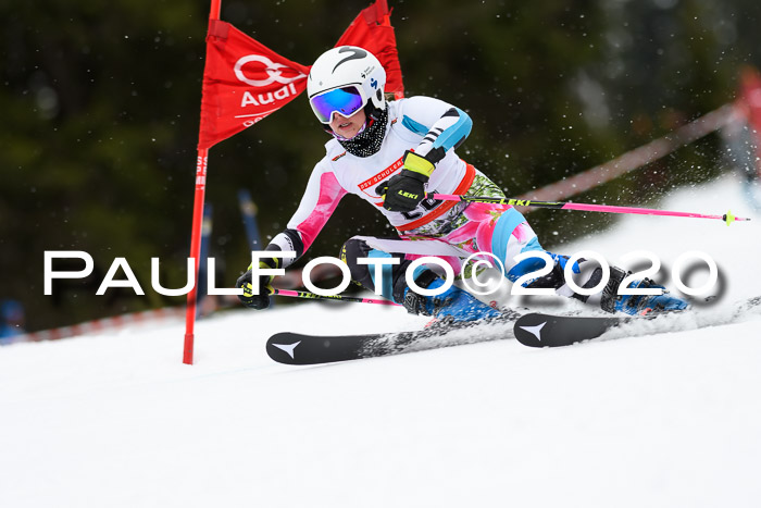 DSV - Deutscher Schülercup U12 Finale RaceCross