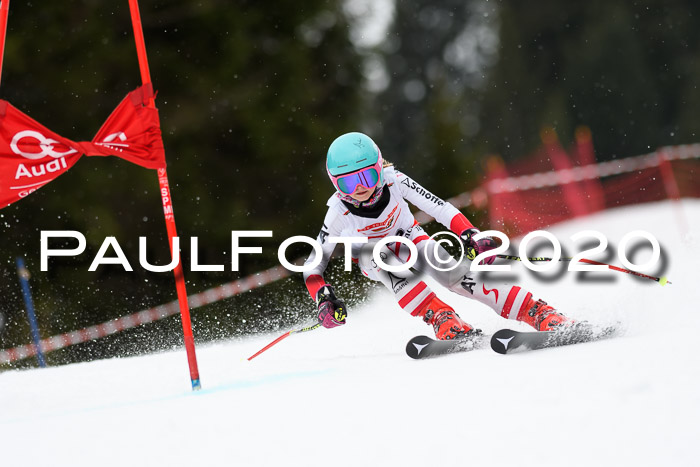 DSV - Deutscher Schülercup U12 Finale RaceCross