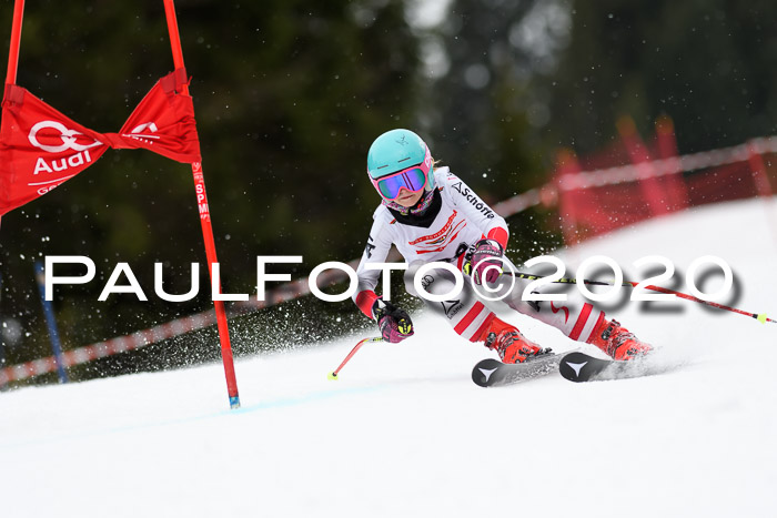 DSV - Deutscher Schülercup U12 Finale RaceCross