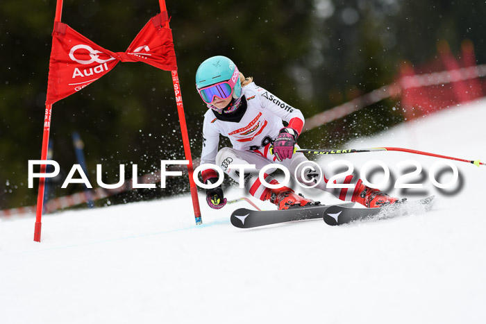 DSV - Deutscher Schülercup U12 Finale RaceCross