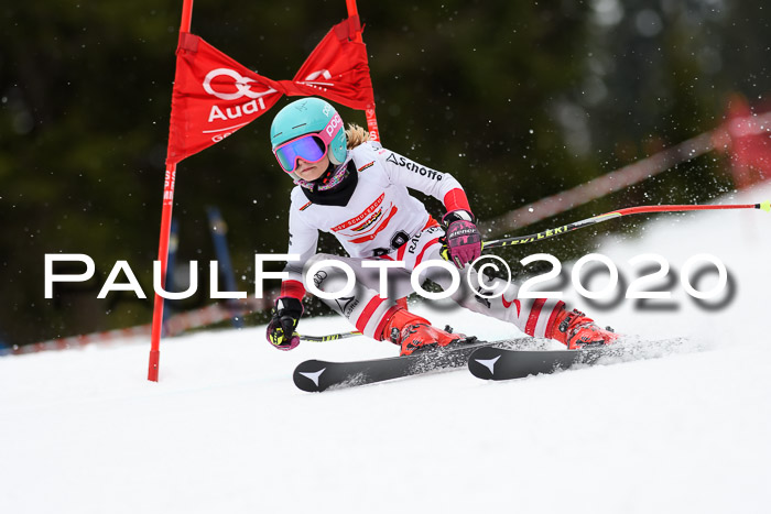 DSV - Deutscher Schülercup U12 Finale RaceCross