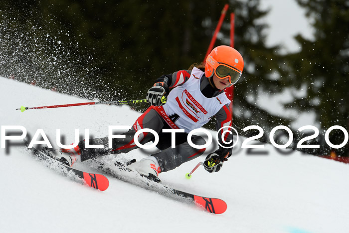 DSV - Deutscher Schülercup U12 Finale RaceCross