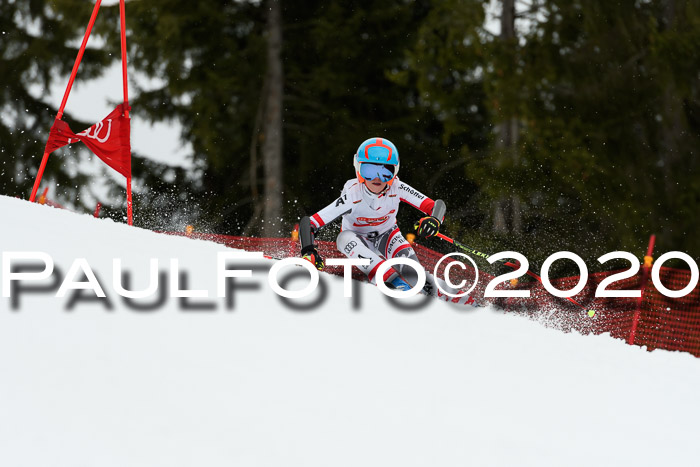 DSV - Deutscher Schülercup U12 Finale RaceCross