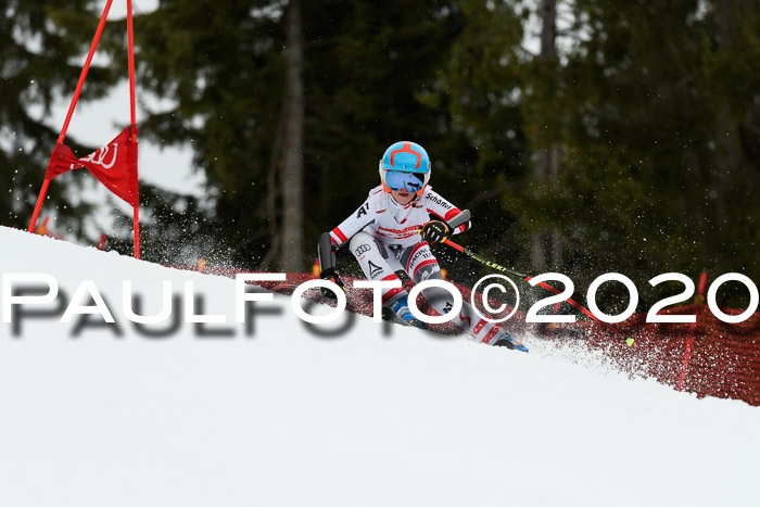 DSV - Deutscher Schülercup U12 Finale RaceCross