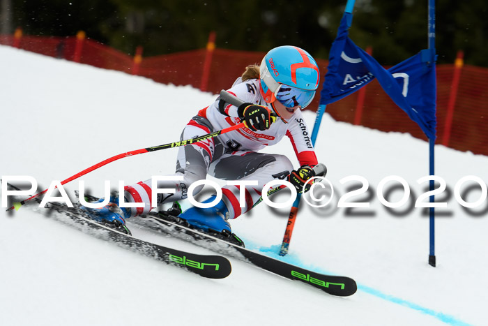 DSV - Deutscher Schülercup U12 Finale RaceCross