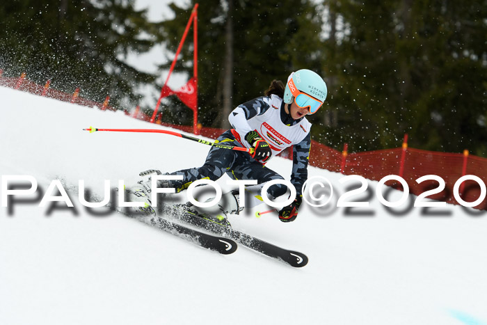 DSV - Deutscher Schülercup U12 Finale RaceCross