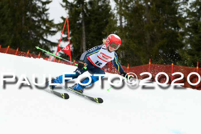 DSV - Deutscher Schülercup U12 Finale RaceCross