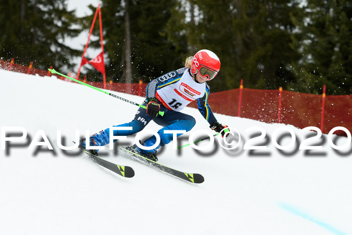 DSV - Deutscher Schülercup U12 Finale RaceCross