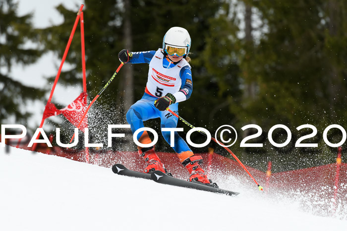 DSV - Deutscher Schülercup U12 Finale RaceCross