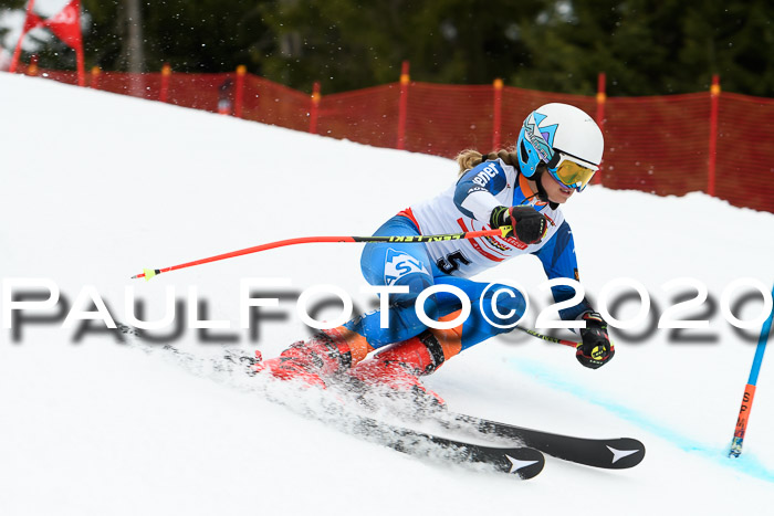 DSV - Deutscher Schülercup U12 Finale RaceCross