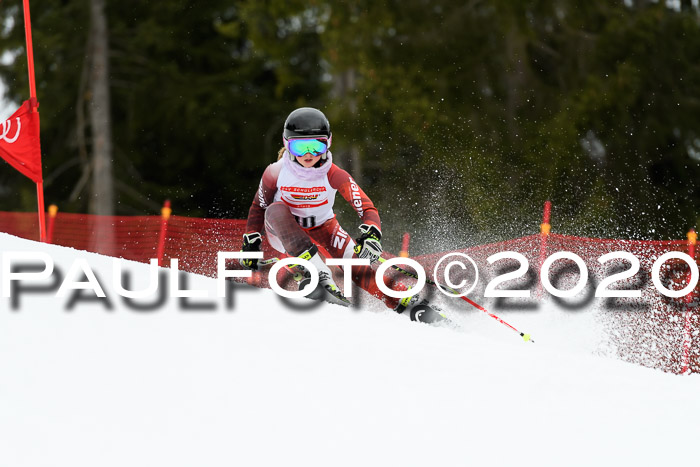 DSV - Deutscher Schülercup U12 Finale RaceCross