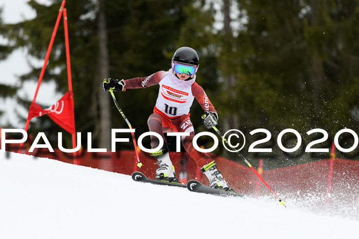 DSV - Deutscher Schülercup U12 Finale RaceCross