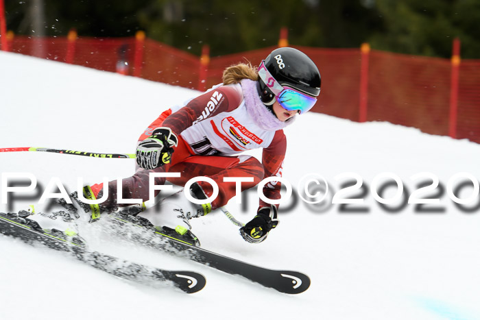 DSV - Deutscher Schülercup U12 Finale RaceCross