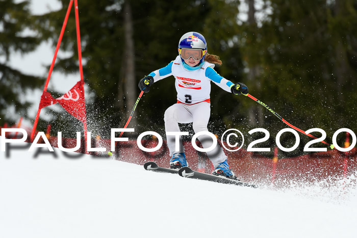 DSV - Deutscher Schülercup U12 Finale RaceCross