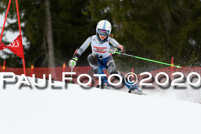 DSV - Deutscher Schülercup U12 Finale RaceCross