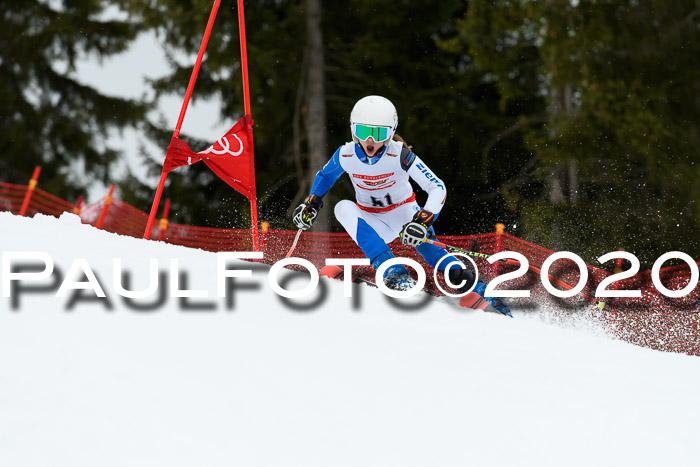 DSV - Deutscher Schülercup U12 Finale RaceCross