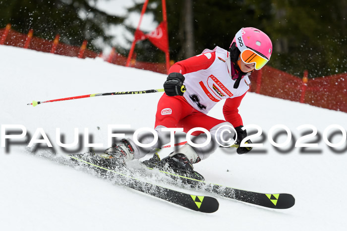 DSV - Deutscher Schülercup U12 Finale RaceCross