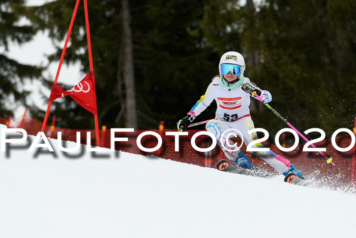 DSV - Deutscher Schülercup U12 Finale RaceCross