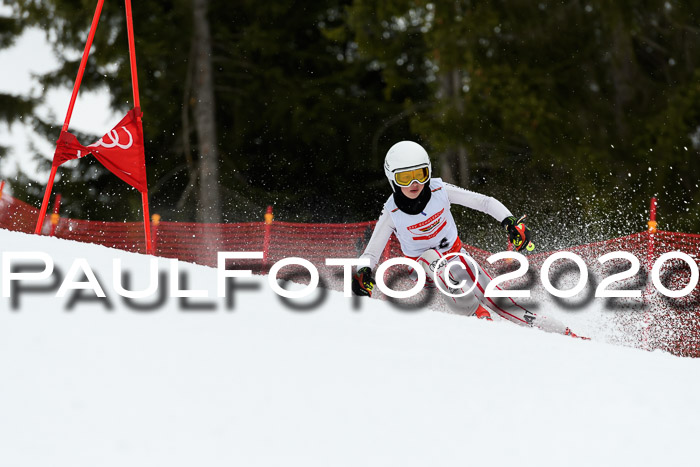 DSV - Deutscher Schülercup U12 Finale RaceCross