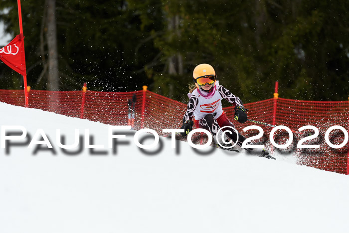 DSV - Deutscher Schülercup U12 Finale RaceCross