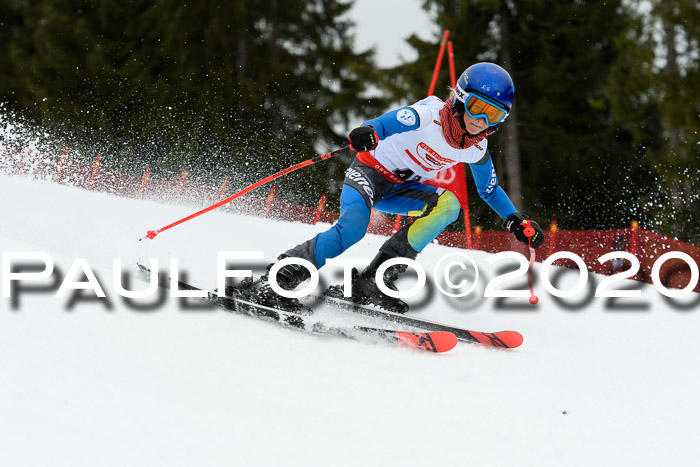DSV - Deutscher Schülercup U12 Finale RaceCross